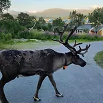 Διαμέρισμα Warm And Cozy In Tromso, Free Parking And Near Both Airport, Nature And Busses Τρόμσο