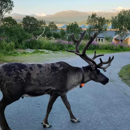 Apartamento Warm And Cozy In Tromso, Free Parking And Near Both Airport, Nature And Busses Tromsø