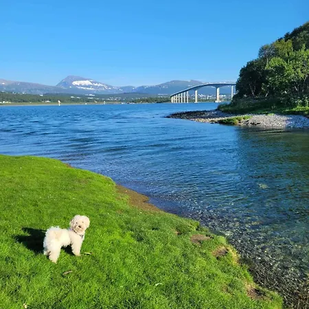 Warm And Cozy In Tromso, Free Parking And Near Both Airport, Nature And Busses Tromsø