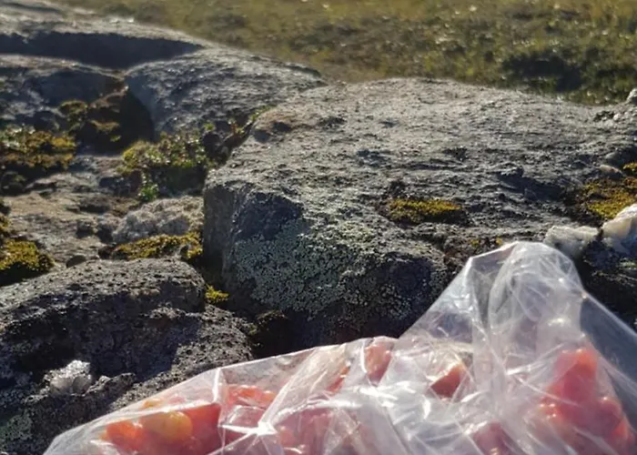 Apartamento Warm And Cozy In Tromso, Free Parking And Near Both Airport, Nature And Busses *