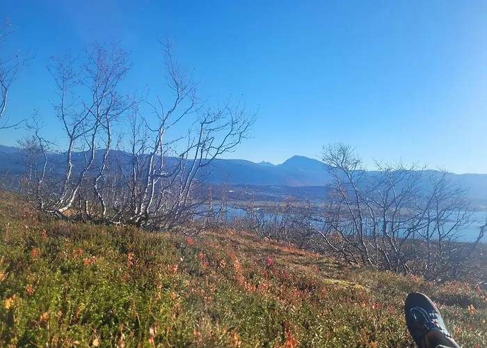 Warm And Cozy In Tromso, Free Parking And Near Both Airport, Nature And Busses