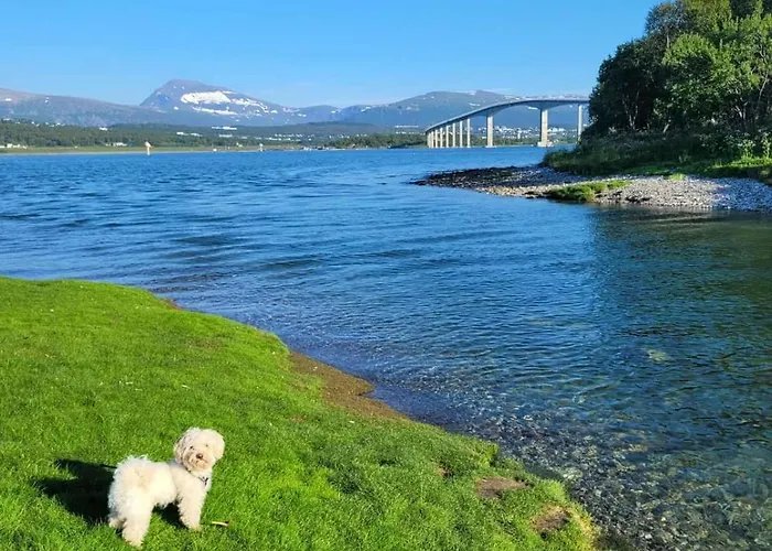 Warm And Cozy In Tromso, Free Parking And Near Both Airport, Nature And Busses Tromsø